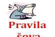 13. Oddaja