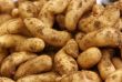 KROMPIR PA ZIMSKE GUME