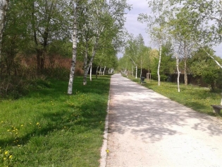MENE NE BO