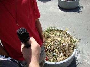 ENAINDVAJSETI DEL - Tamau botanični vrt na Bavarskem dvoru