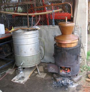 DELAVNICA ZA POČITNIKARJE