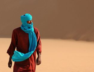 34 - ŠTALA NA SENIKU (Nov tekmovalec je Arabec)