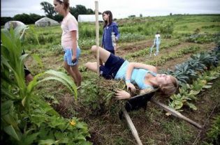 53 - ŠTALA NA SENIKU (Leopold je vse naredil)