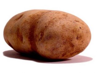 UVEDU BOM ŠE POČITNICE ZA GROZDJE