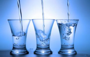 PRIHAJA PEČENICOVC PA BLEJSKA VODKA