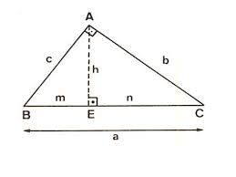 JEANU DAJEM NASVETE PEDIARTA
